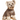 Cute Dog T Shirt | Available For Small , Medium and Big Dogs