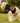 Pumpkin Dog Hoodie with Leash Hole for Large & Small Dogs