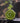 Pad Scrubber - Random Color_M128_