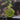 Pad Scrubber - Random Color_M128_